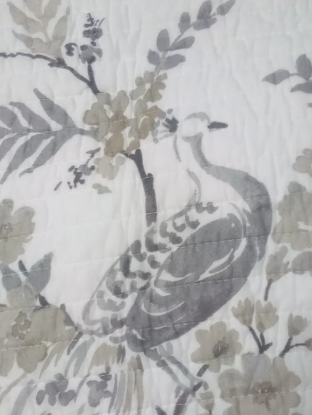 Reversable Twin Floral Toile Quilted Bedspread & Sham NWT $209.99